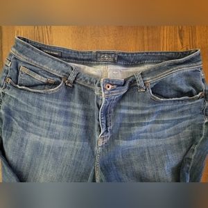 Lucky Brand Georgia Boyfriend Jeans Sz 22W